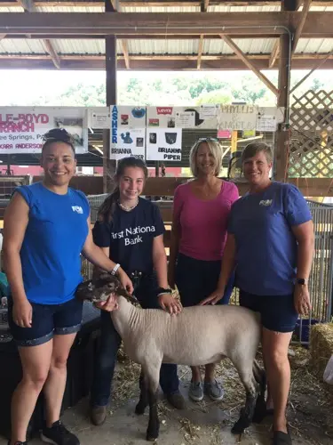 Piper lamb photo